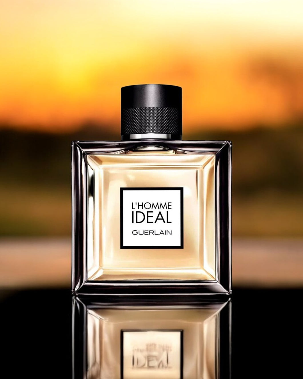 IDEAL - Men