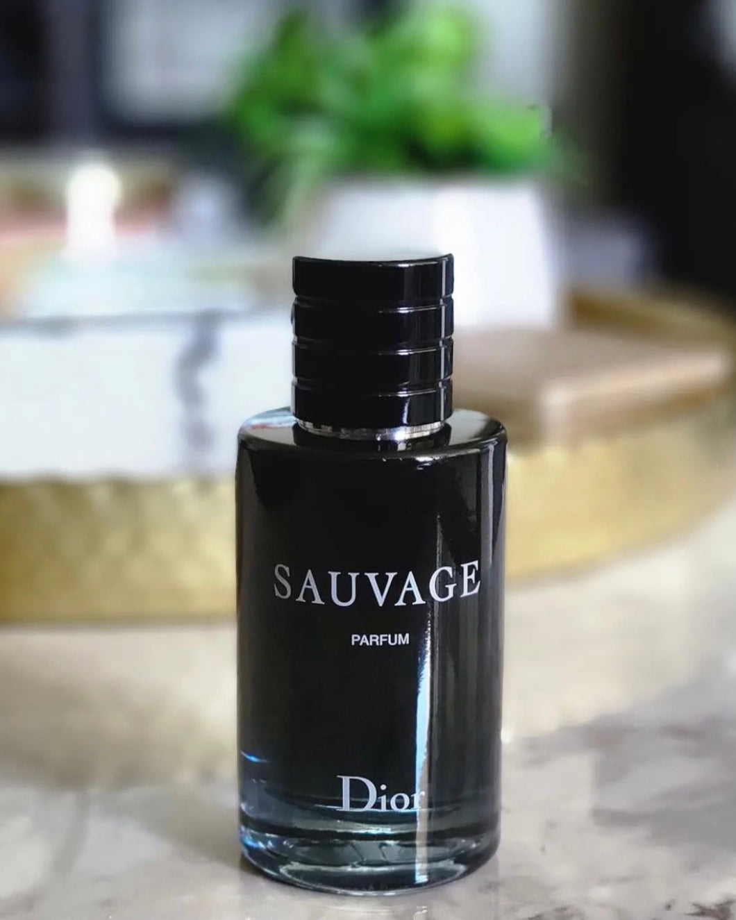 Wildfire (Sauvage) - Men