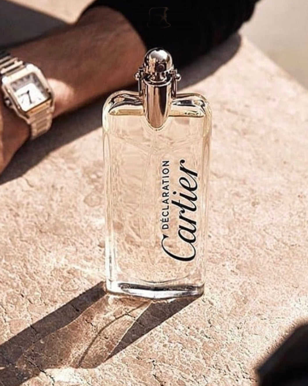 Decreed (Declaration) - Men