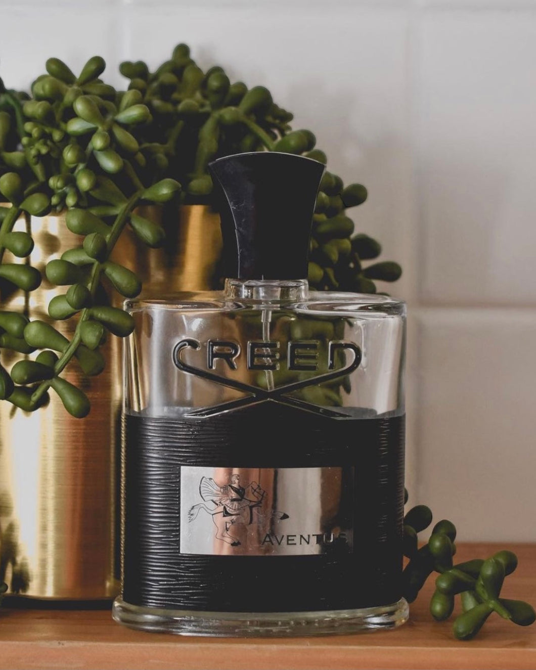 Venture (Aventus) - Men