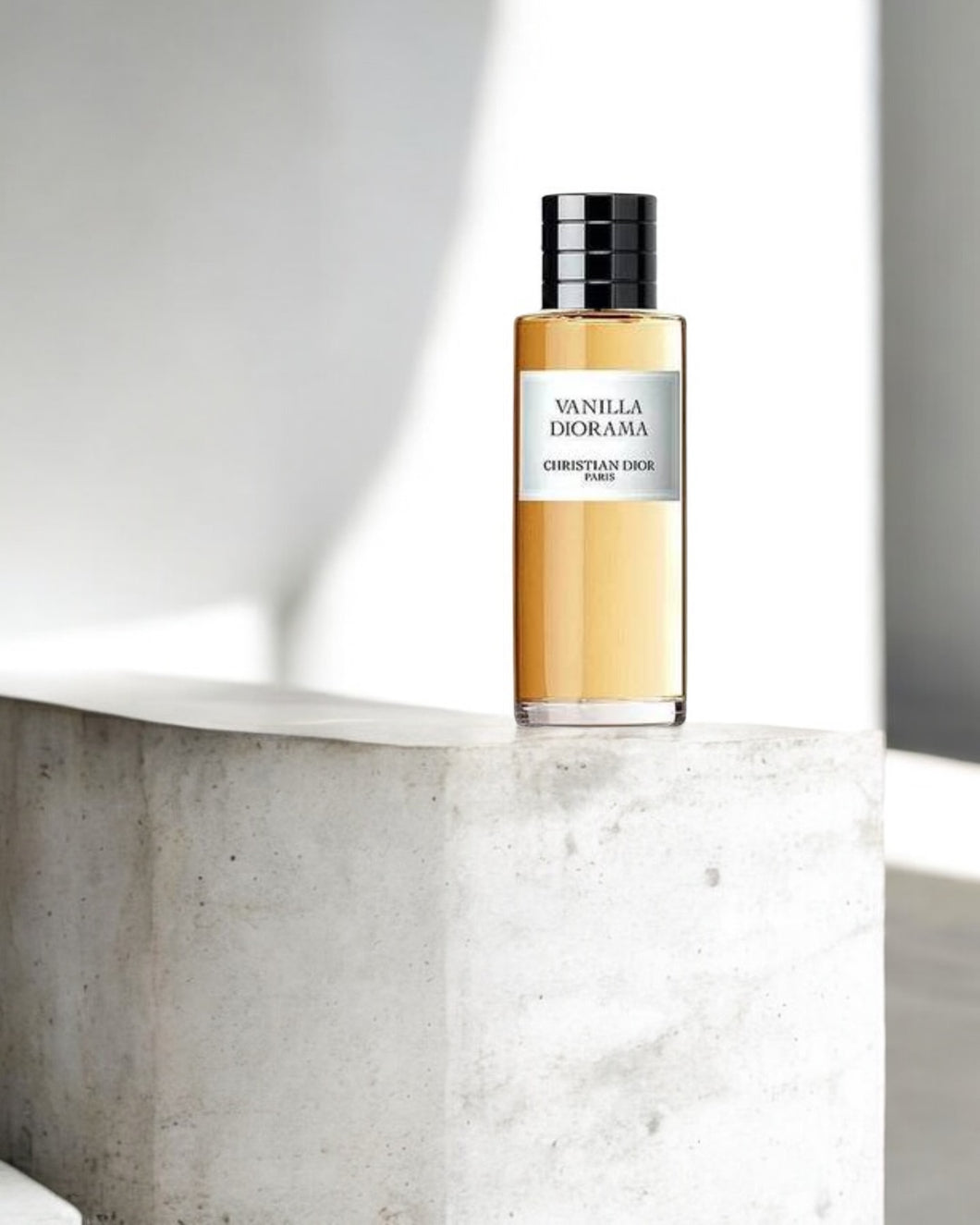 Vanilla Diorama (T) - Unisex