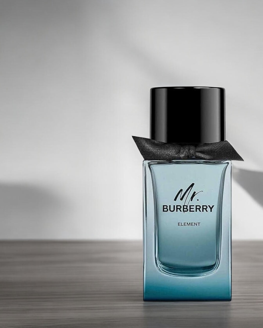 Mr. Burberry Element - Men