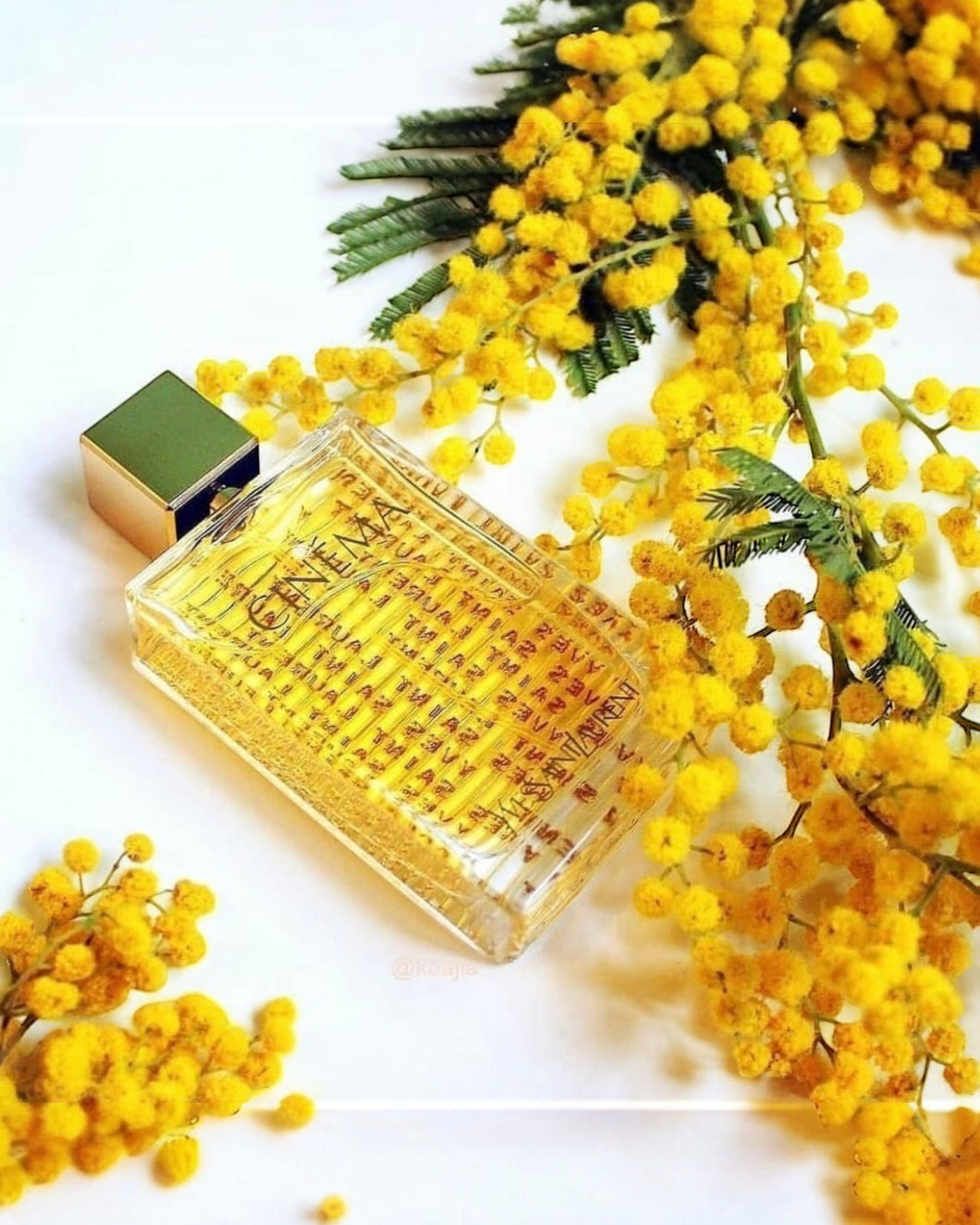 Nova (Cinema) - Women