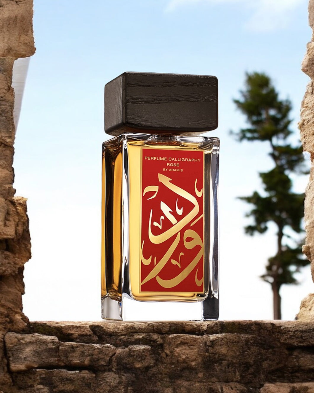 Calligraphy Rose - Unisex