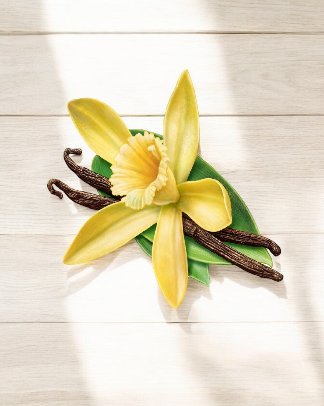 Vanilla Arabya - الفانيليا العربية