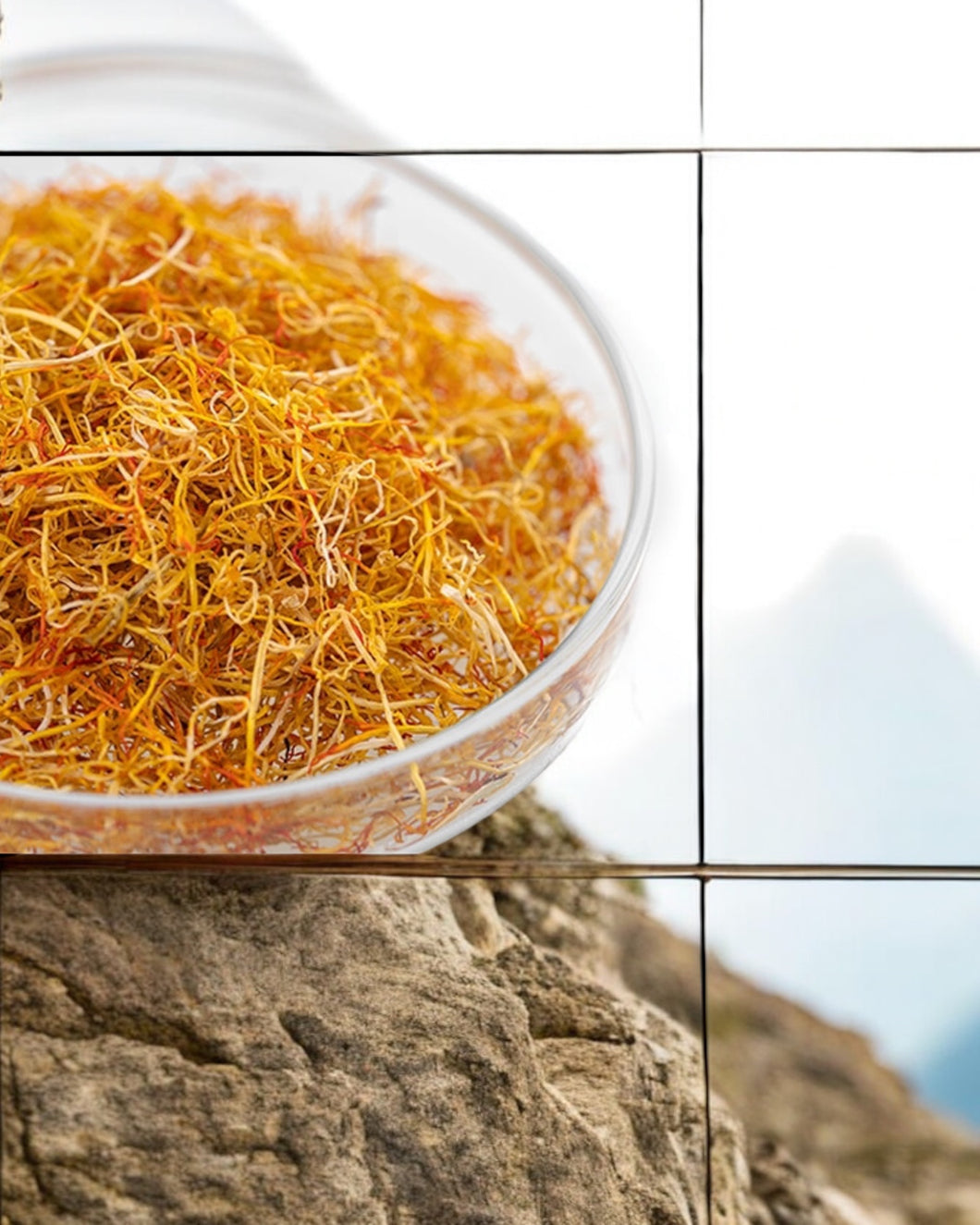 White Saffron - الزعفران الابيض