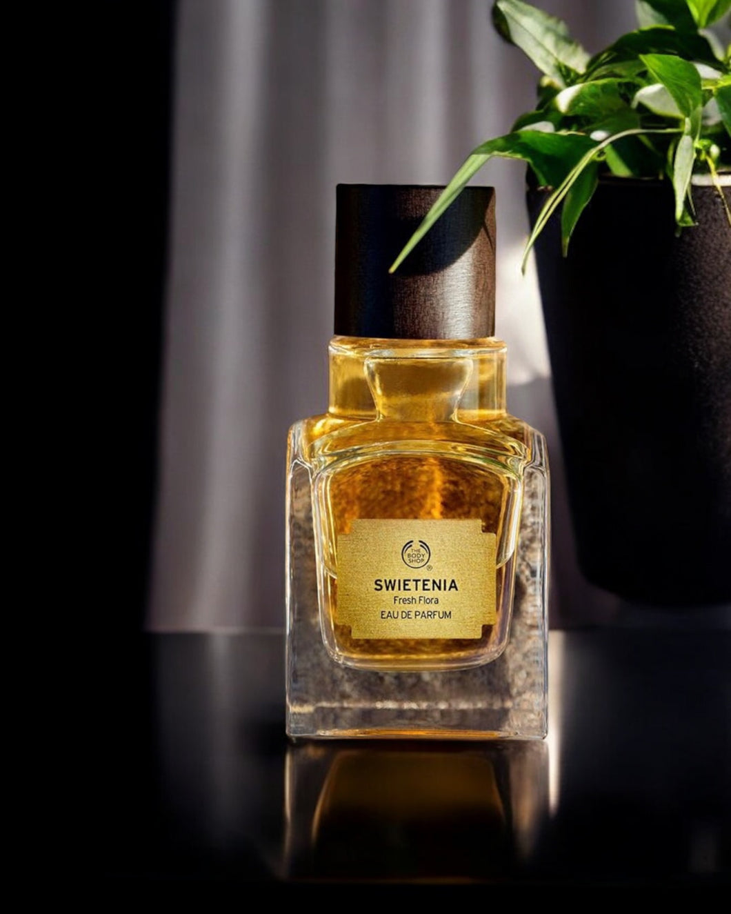Swietenia - Unisex