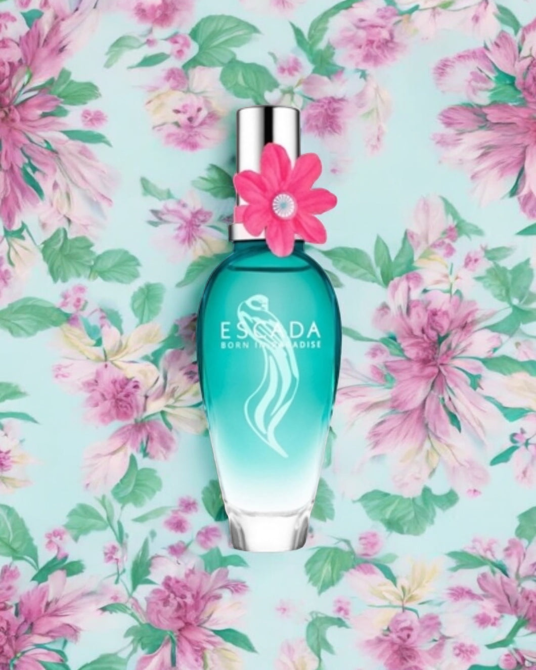 Born in Paradise - Women